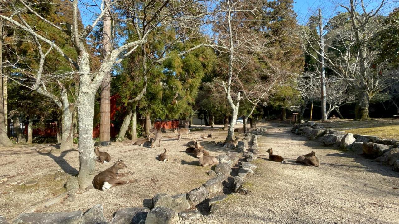 Miyajima Morinoyado Hotel Hatsukaichi Exterior foto